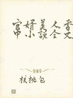 官婿美人香刘志中小说全文免费阅读