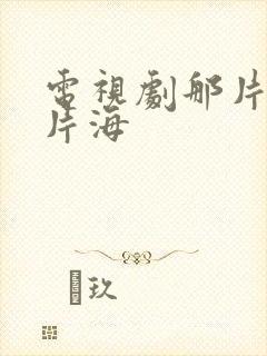 电视剧那片花那片海