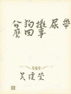 公狗撒尿带血怎么回事