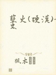 孽火(硬汉)今又