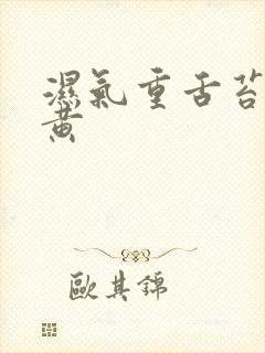 湿气重舌苔白厚黄