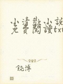 小清欢小说全文免费阅读txt封面