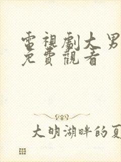 电视剧大男当婚免费观看