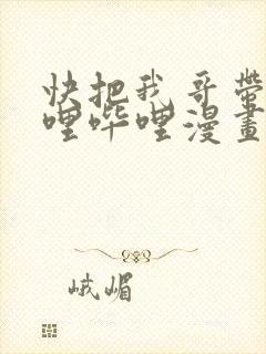 快把我哥带走哔哩哔哩漫画封面