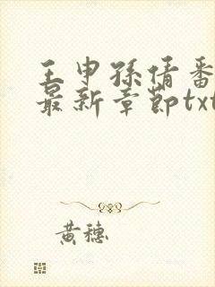 王申孙倩番外篇最新章节txt