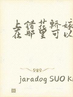 上错花轿嫁对郎在哪里可以看