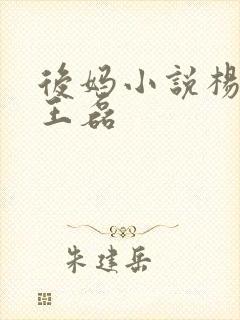 后妈小说杨晓芬王磊