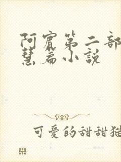 阿宾第二部之钰慧篇小说