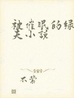 被催眠的绿帽夫夫小说封面