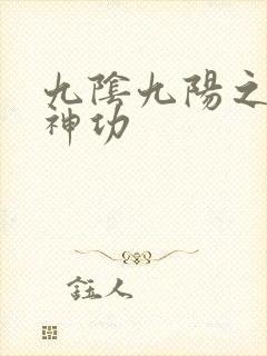 九阴九阳之阴阳神功封面