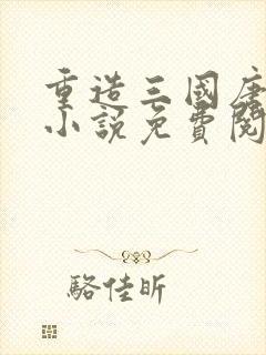 重造三国唐仁的小说免费阅读