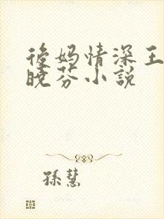 后妈情深王磊杨晓芬小说