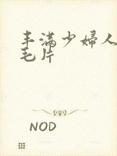 丰满少妇人妻h毛片