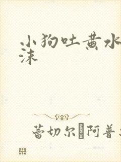 小狗吐黄水带泡沫