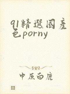 91精选国产九色porny