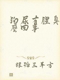 狗尿有腥臭味怎么回事