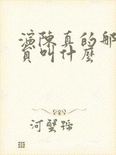 演陈真的那个演员叫什么封面