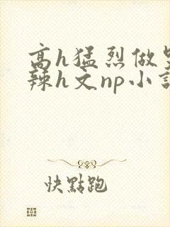 高h猛烈做哭高辣h文np小说封面