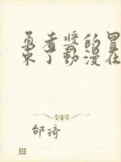 勇者酱的冒险结束了动漫在线观看