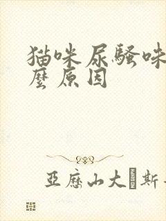 猫咪尿骚味重什么原因