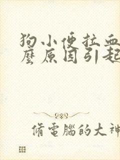 狗小便拉血是什么原因引起的呢