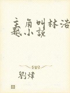 主角叫林浩的穿越小说