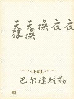 天天操夜夜操狠狠操封面