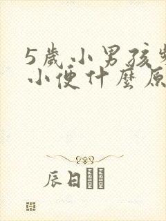 5岁小男孩频繁小便什么原因封面