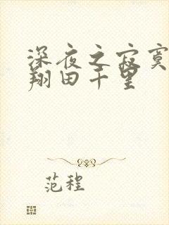 深夜之寂寞人妻翔田千里封面