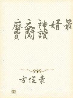麻衣神婿最新免费阅读