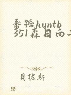 番号huntb 351森日向子封面