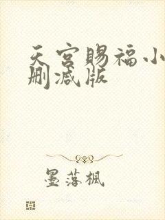 天宫赐福小说无删减版