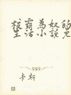 校霸为奴的日常生活小说免费阅读封面