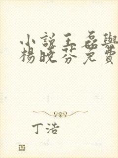 小说王磊与后妈杨晓芬免费阅读封面