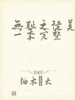 无耻之徒美剧第一季完整封面