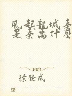 风起龙城秦子沫是秦禹什么人