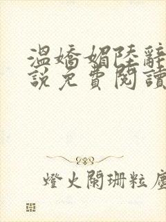 温娇媚陆辞安小说免费阅读最新章节