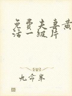 免费夫妻黄色生活一级片封面