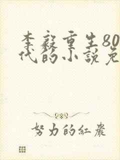 李毅重生80年代的小说免费阅读