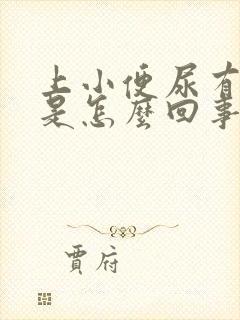 上小便尿有味道是怎么回事