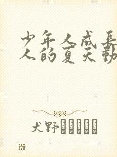 少年人成长为大人的夏天动漫