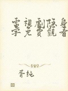 电视剧隐身的名字免费观看封面