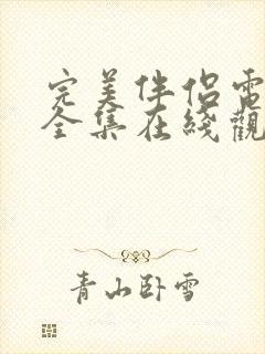 完美伴侣电视剧全集在线观看免费