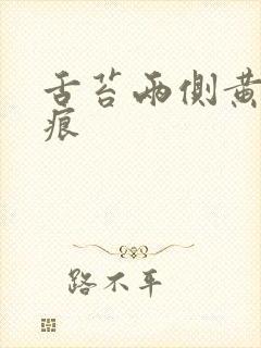 舌苔两侧黄有齿痕