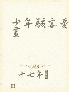 少年骇客爱表漫画