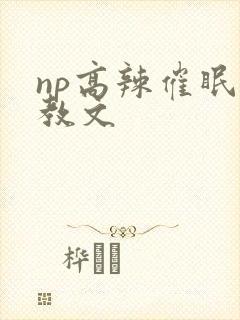 np高辣催眠调教文