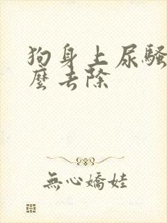 狗身上尿骚味怎么去除