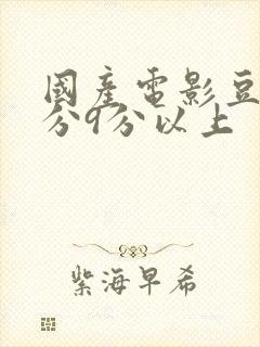 国产电影豆瓣评分9分以上封面