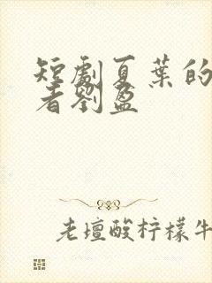 短剧夏叶的扮演者刘盈