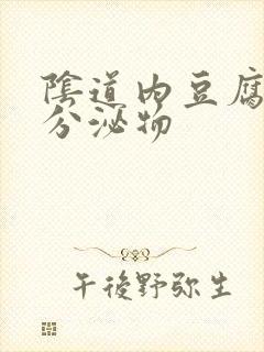 阴道内豆腐渣状分泌物